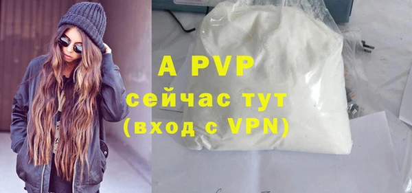 гашик Дмитровск