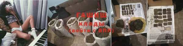 гашик Дмитровск