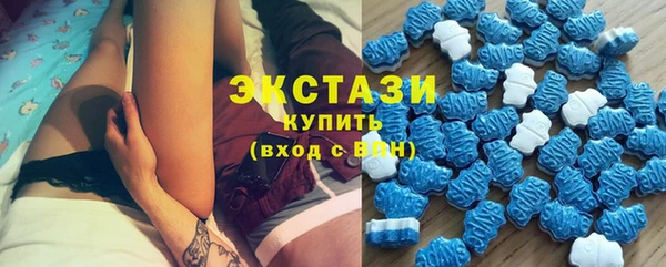гашик Дмитровск