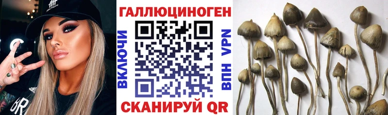 Псилоцибиновые грибы прущие грибы  Купить где  Ардатов 